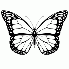 We have 60 butterfly coloring pages to choose from. Free Printable Butterfly Coloring Pages For Kids Coloring Home