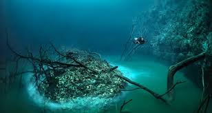 Un río dentro de otro río? En la península de Yucatán, México, se encuentra  el impresionante Cenote Angelita, un río bajo el agua. Se ubica a unos diez  metros de profundidad y