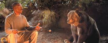 John dolittle the beloved doctor is back, but this time around he plays cupid to bumbling circus bear archie as he's so smitten by a pacific western bear female, ava. Dr Dolittle 2 2001 Movie Behind The Voice Actors