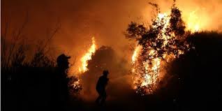 Yangın ile ilgili tüm, video, fotoğraf, açıklamalar ve flaş haberler hürriyet'te. Bulgaristan In Turkiye Sinirinda Yangin 4 Kentte Acil Durum Ilan Edildi Bakis Bg