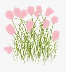 356 transparent png illustrations and cipart matching bunga. Bunga Png Transparent Png Kindpng