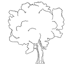 We did not find results for: Winter Bare Tree Tree Coloring Pages 03 Coloring Pages Adult Coloring Home