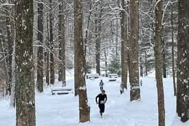 Najib Khalil's Race Results