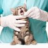 Our affordable dental care and cleaning offers early detection & prevention that saves our clients even more. 1