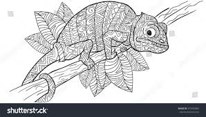 Coloring pages for kids chameleons coloring pages. Hand Drawn Coloring Pages With Chameleon Royalty Free Stock Vector 377452603 Avopix Com