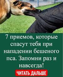 moda uroki zhizni sumasshedshie devushki poleznye sovety