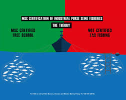 FIS - Worldnews - MSC certification for purse seine fisheries is 'partial  and arbitrary,' argues OPAGAC