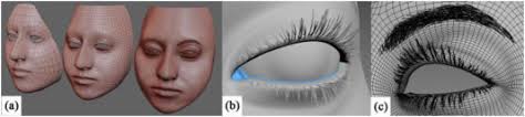 Virtual eye region: development of a realistic model to convey emotion