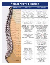 The Side Effects Of Chiropractic