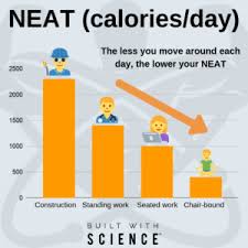 As an aid to your selection, this table matches the four lifestyle options to equivalent amounts of. Tdee 101 How Many Calories Should I Eat Tdee Calculator