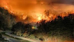 Photos show effects of devastating wildfires updated may 18, 2019; Analyzing The Fire That Burned Into Gatlinburg Wildfire Today