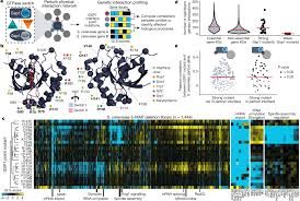 Systems-level effects of allosteric perturbations to a model molecular  switch | Nature