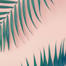 Why Palm Frond Print Is So Popular Every Summer Vox