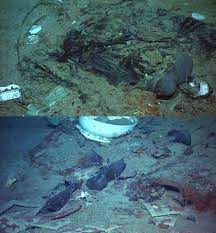 When the rms titanic sunk in 1912, the grand ship took with her over 1500 people. A Very Poignant Photo Of The Titanic Wreckage Titanic Wreck Rms Titanic Titanic