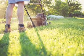 Im oktober gibt es oft noch schöne warme herbsttage. Rasenpflege Selbermachen De