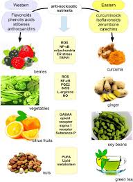 The fruit is spherical, red colored with notable scales. Does Diet Play A Role In Reducing Nociception Related To Inflammation And Chronic Pain Sciencedirect