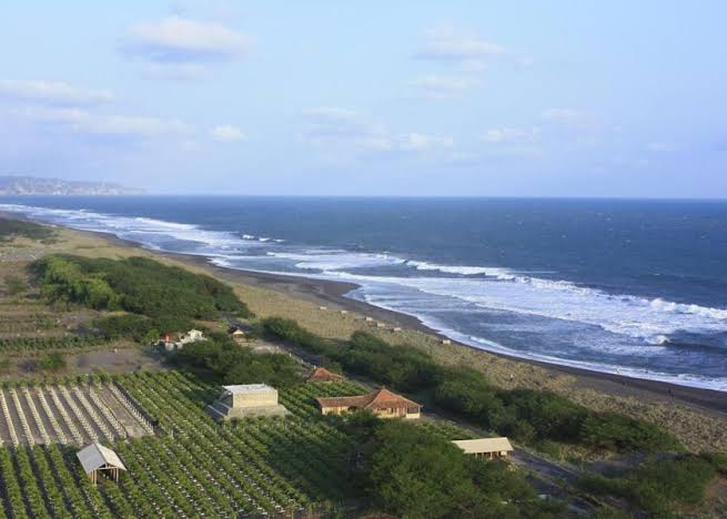 Pandansimo Beach