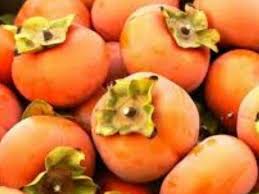 Curiosità e segreti sul cocco. Alle Donne Incinte E Consentito Mangiare I Cachi In Gravidanza Passione Mamma