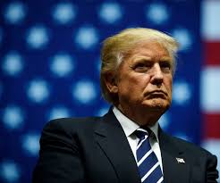 Alan Dershowitz To Newsmax Tv Trump Can Go To Supreme Court For Election Results Kabc Am
