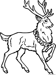 Click on your favorite deer coloring picture to print & color. Realistic Deer With Bells Coloring Pages Printable
