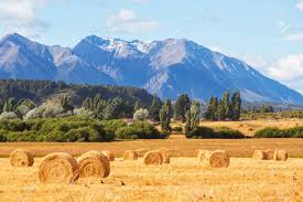 Such landscapes can vary greatly. Rural Landscapes In Argentina Stock Photo Picture And Royalty Free Image Image 40393200