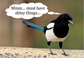 In Marketing Don T Mistake A Shiny New Tool For Your Goal Magpie Pet Birds Beautiful Birds