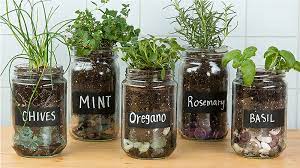How to make a garden in a jar. Make An Adorable Herb Garden With Old Glass Jars