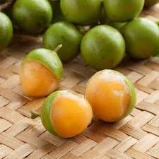 Image result for Melicoccus