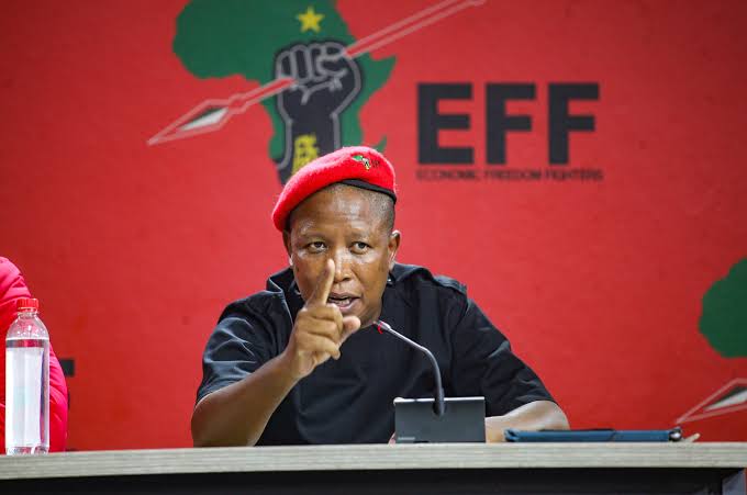 Malema faces possible jail time as pre-sentencing hearing begins – Salaamedia