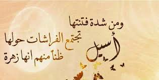 معنى اسم اسيل مفهرس