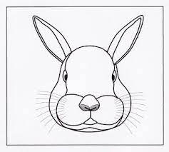 Pin On Rabbits
