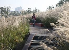 Contemporary landscape architecture is characterized by a subjective determination to sculpt the landscape into spaces that reflect the human living experience. Artful Landscapes 10 Modern Landscape Architecture Designs