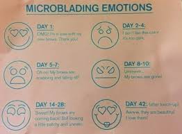 Avoid strenuous activity for 2 days. My Experience With Eyebrow Microblading Samantha Elizabeth