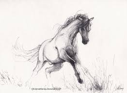 Free Spirit By Christinamandy On Deviantart Spirit Drawing Horse Drawings Equine Artwork