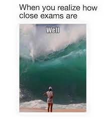 Summer Is So Close You Can Almost Taste It Funny Pictures College Memes Exams Memes