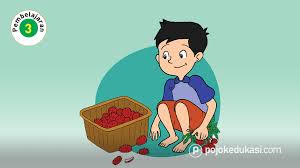 Kunci Jawaban Halaman 111 113 114 115 Tema 4 Kelas 3 Kunci Buku Berkelas