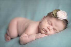 Lavender + Honey Photography