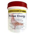Güvercin Vitamin ve Özel Katkılar - Petmarketburada.com