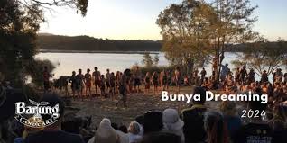 Bunya Dreaming - Hosted by Barung Landcare