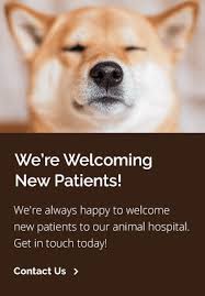 Maybe you would like to learn more about one of these? Patient Information Pet Doctor