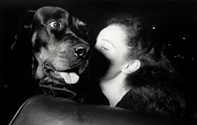 Image result for White 1992 Taxi