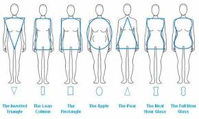 Fashion Vocabulary List Google Search Body Shapes Fashion Vocabulary Apple Body Shapes