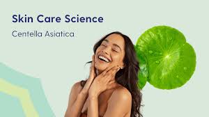 Image result for Centella