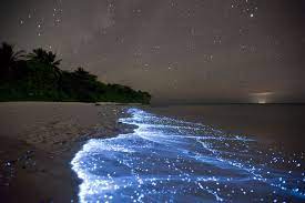 Shimmering Shores Of Vaadhoo Maldives Beautiful Places Places Places To Travel