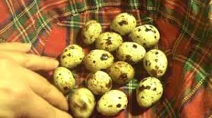 Pickled Eggs From Pickle Juice