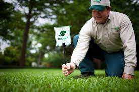 But trugreen has its identity for doing things more neatly. Lawn Care Company Lawn Care Service Trugreen