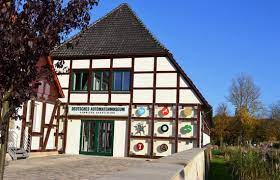Wie in alten zeiten wird in der frühindustriellen glashütte aus dem 19. Unique Collection Of Coin Operated Machines Review Of Deutsches Automatenmuseum Espelkamp Germany Tripadvisor