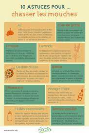 Elles agacent par le « bzzz » incessant et elles sont porteuses de bactéries que l'on souhaiterait bien éviter à l'intérieur du foyer. 10 Astuces Pour Chasser Les Mouches
