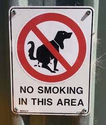 Curb Your Dog 20 Hilarious Sign Fails Mom Me Funny Sign Fails Job Fails You Had One Job
