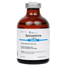 Image result for Epinephrine